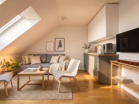 One bedroom apartment with queen size bed, convertible sofa bed and kitchen