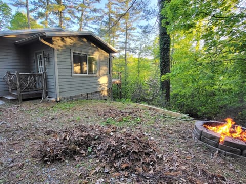 Fire pit and fire ring