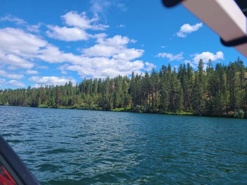 Photo taken from owners boat at Riverside State Park, near boat launch ramp.