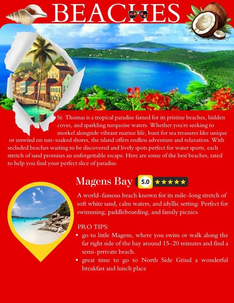 Danish West Indies #4