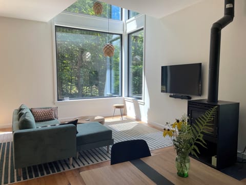 Living Room Windows