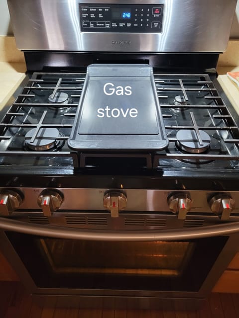 Stainless Steel  Convection Gas Stove