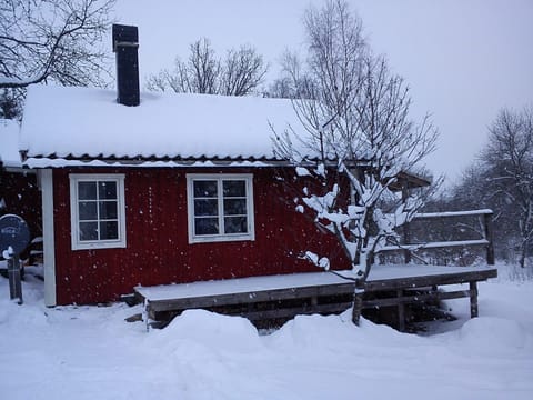 cottage in winter