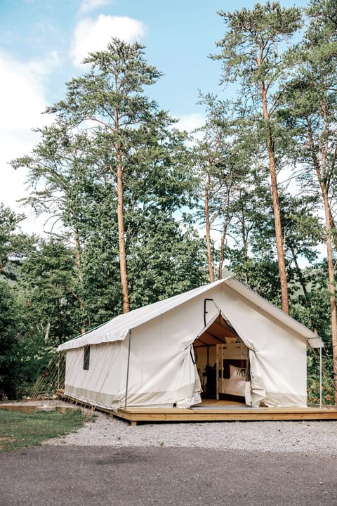 329ca0e2-6716-4da2-ab12-7d1ba89c0852