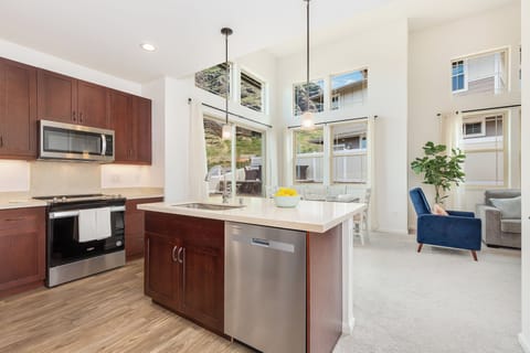 New Kitchen Cabinets & Counter Tops