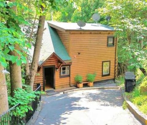 Front of Cabin/Driveway