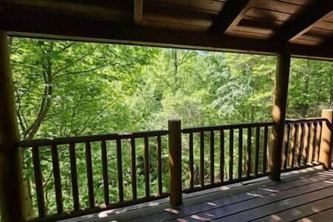 Main Level: Balcony (2)