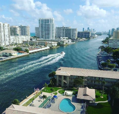 Views from the Building