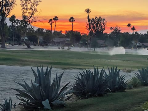 View from the patio