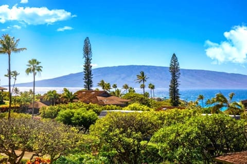 Stunning ocean views stretch across the horizon, framed by lush tropical foliage and swaying palm trees.  