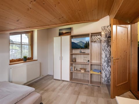 Haus Feiersinger - Studio, Bad, WC Apartment in Salzburgerland