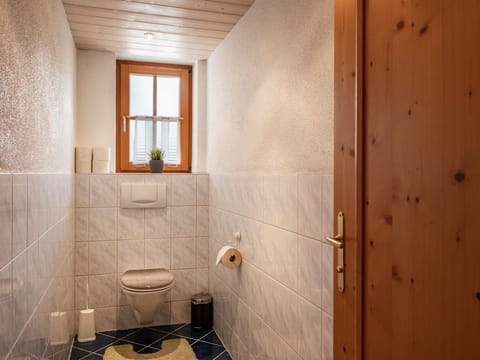 Haus Feiersinger - Studio, Bad, WC Apartment in Salzburgerland