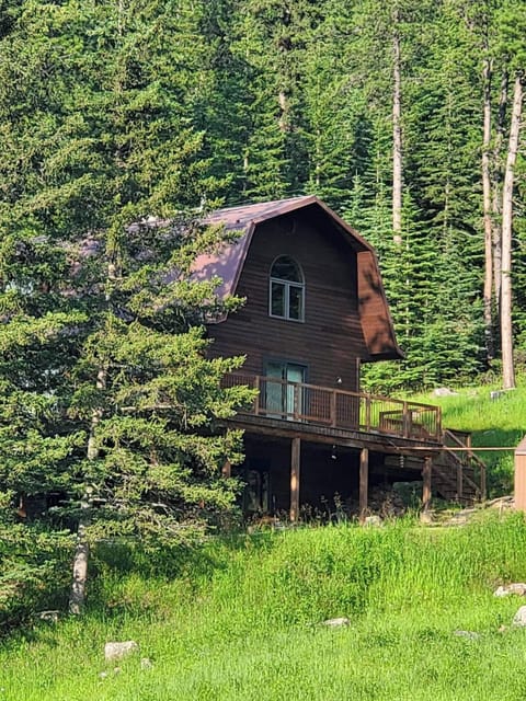 Rustic Creek Cabin is nestled in the trees!
