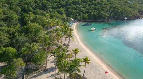 Discover Water Island!