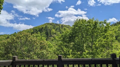 View from the terrace 