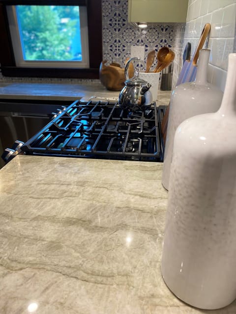 Absolutely Beautiful Kitchen Countertops made from Quartzite Metamorphic Rock 