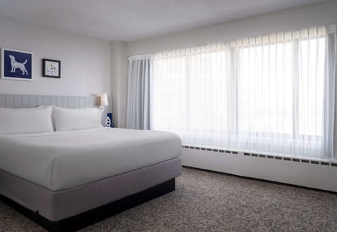 Sink into crisp linens beside soft daylight and quiet views.