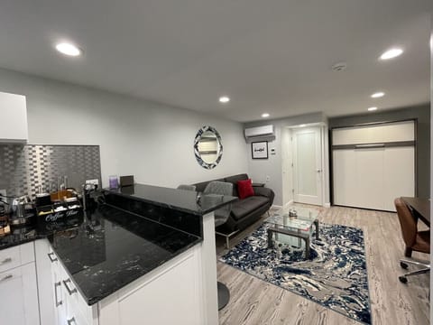 Living Room w/ Full Size Murphy Bed, closed View