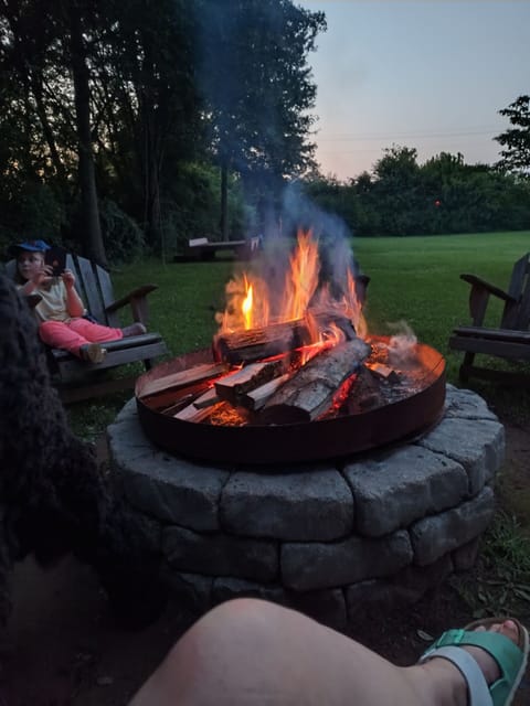Our fire pit with 8 Adirondack chairs sits nestled in the backyard, silo view 😁