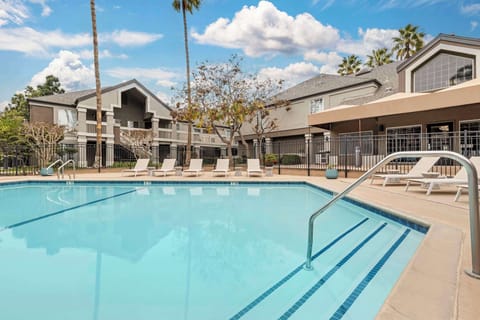 Dive into a sunlit pool day with plenty of loungers.