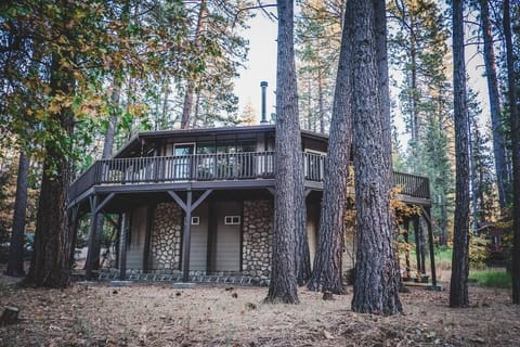 Exterior view of the Octagon "Wildland Tree House". The hosts live on the top level, while the "Live Light" Retreat Space encompasses the entire ground level, including a private entrance, private kitchenette, and 2 private full bathrooms.