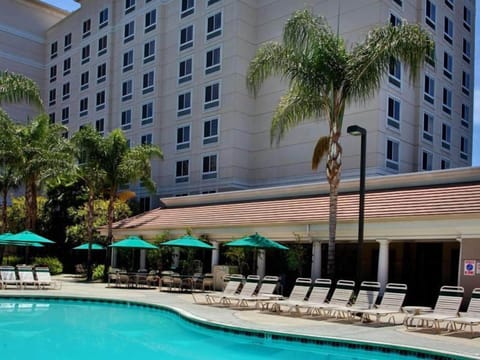 Unwind poolside under palms with sunny lounge chairs.