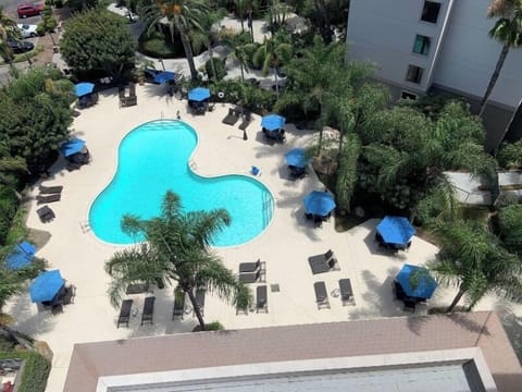 Dive into sunny relaxation beside the resort-style palm oasis pool.