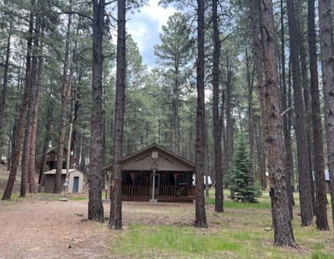 w880h683x72y0-3991293b