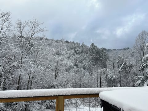 Winter at the cabin