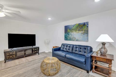 Living Room Overview