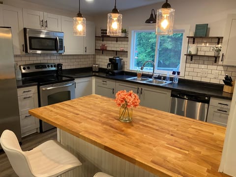 Beaver Den full Kitchen