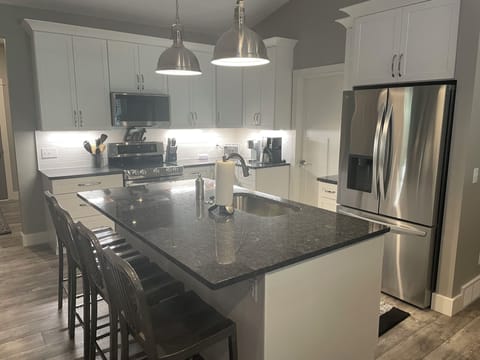 Elegant Kitchen setting.