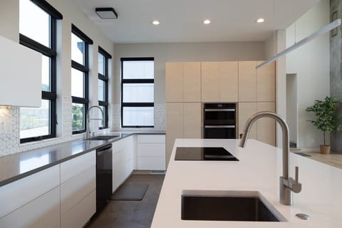 Slick modern design cabinets with Quartz Countertops