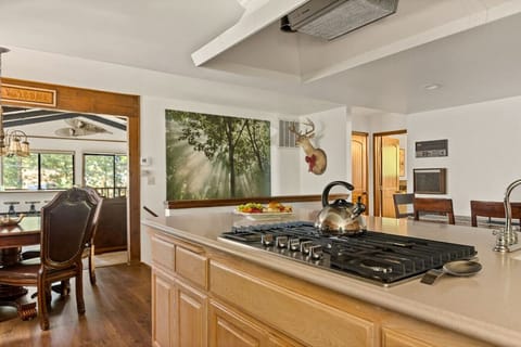 Rustic kitchen with island stove.