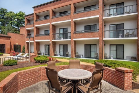 Gather outdoors with drinks and conversation in the courtyard patio.