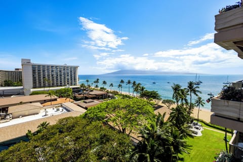 Oceanfront resort setting with palm trees, sandy beach, and distant island views under tropical skies. The surrounding area offers direct beach access and coastal scenery.