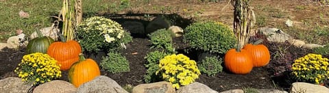 The Brookledge sign at the road, make it easy for guests to find us.