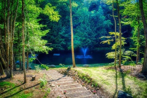 A private path through the woods will lead you the spring fed pond.  Enjoy the floating dock, feed the fish or take a spin in the canoe.