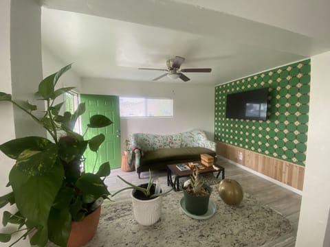 Step into an indoor garden themed home “Little Green Garden”