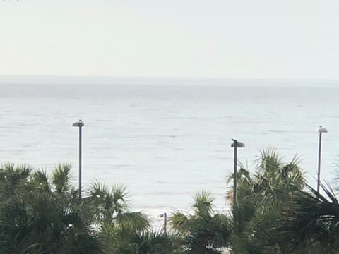 Ocean View 