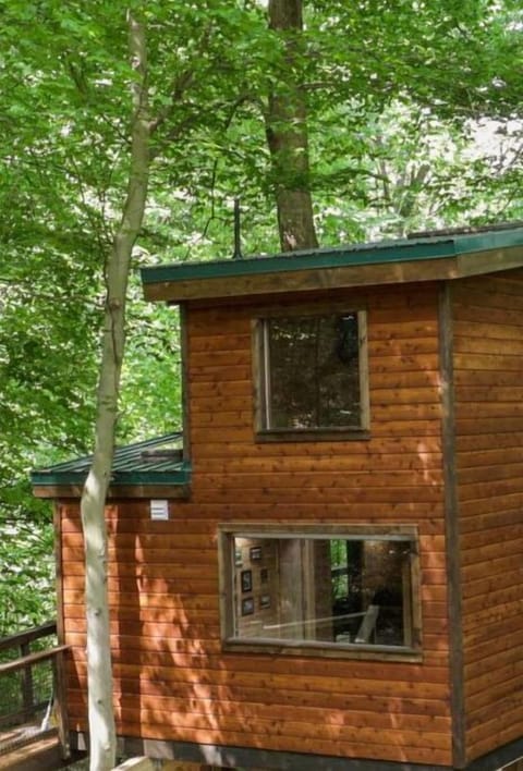 You get the best of both worlds! Our Lakefront Treehouse AND Rustic Treehouse can sleep 8 guests!