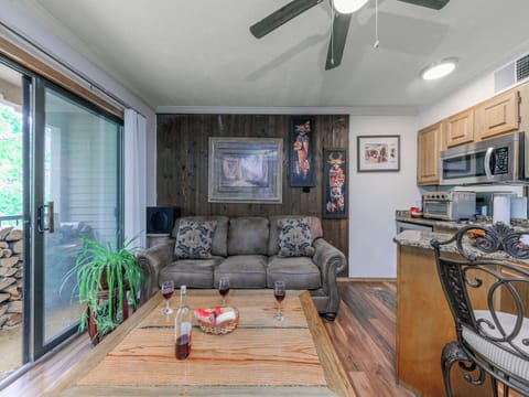 Living Room w. Queen Size Sleeper Sofa