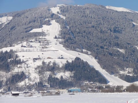 Familienzimmer mit Dusche od. Bad, WC - Haus Berger Apartment in Zell am See
