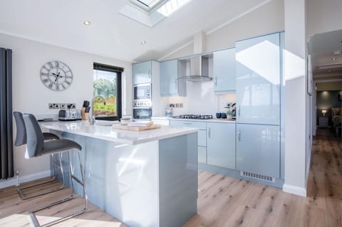 Swanlake Lodge - 3 Bedroom Holiday Home - Penally (16677)