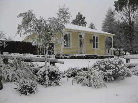 Winter wonderland