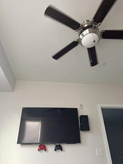 Television