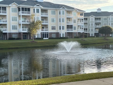 Pond view