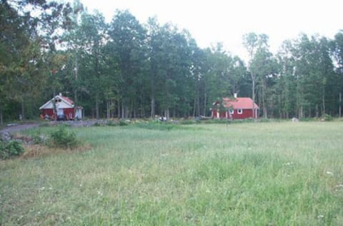 surrounded by forests and meadows