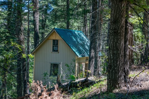 Peace and Quiet Treehouse...the perfect place to escape !!