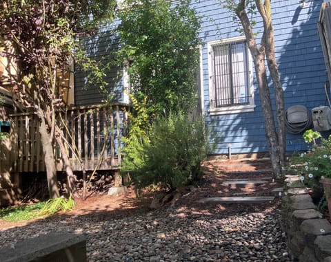 Tucked away entrance to the studio from the hilltop garden